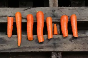 Paleo Strava